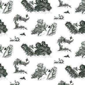 Tortoise And Hare Toile