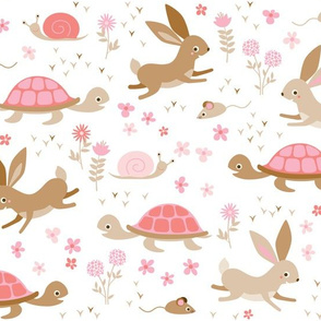 tortoise, hare, mouse and snail