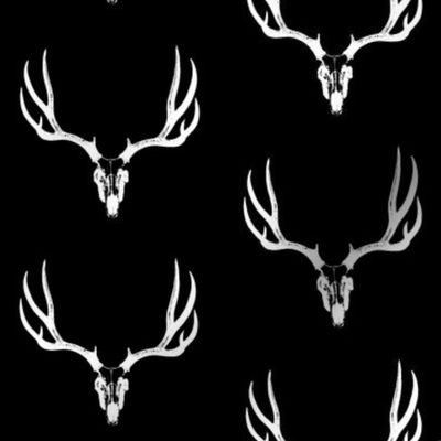 Deer Skulls on Black // Large
