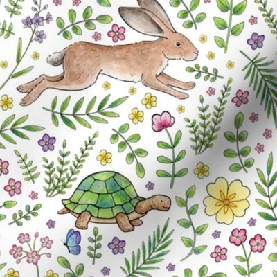 Spring Time Tortoises and Hares