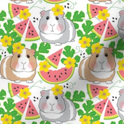 large guinea-pigs-in-a-watermelon-patch