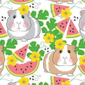 large guinea-pigs-in-a-watermelon-patch