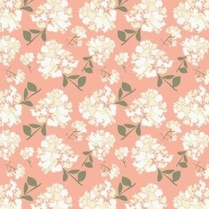White Flowers in pink background