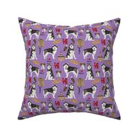 alaskan malamute loves philadelphia fabric - cute dogs and Philadelphia print - philly dog - purple