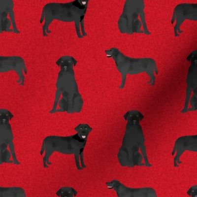 black labrador coordinate pet quilt a dog breed labradors fabric