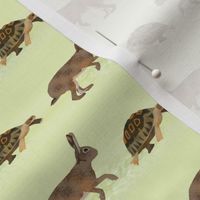 Tortoise & Hare