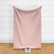 Rose Gold #3: Solids, Solid Fabric