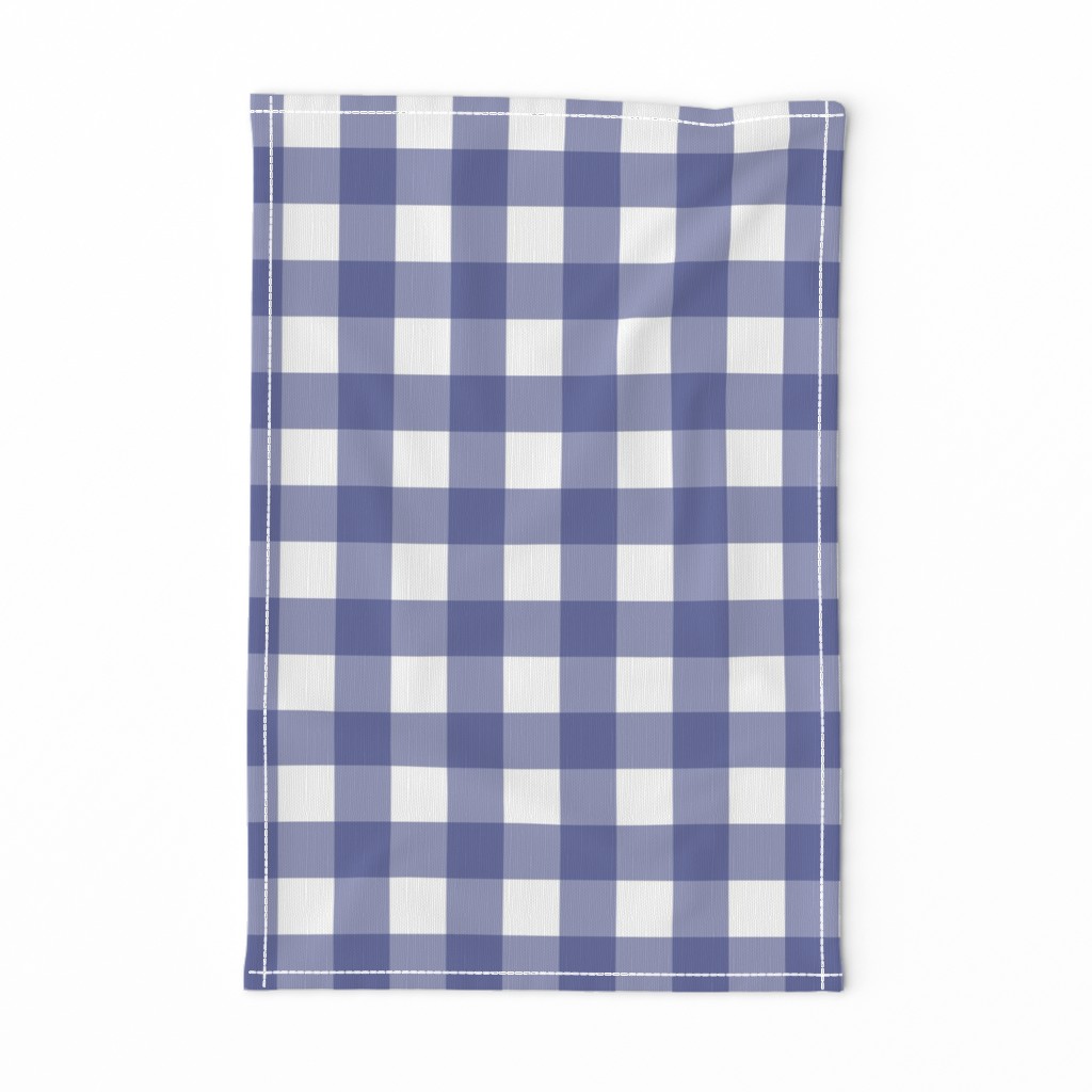 Soft Prussian Blue + White Gingham by Su_G