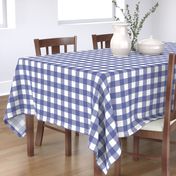 Soft Prussian Blue + White Gingham by Su_G