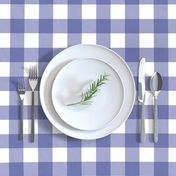 Soft Prussian Blue + White Gingham by Su_G