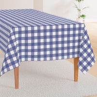 Soft Prussian Blue + White Gingham by Su_G