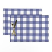 Soft Prussian Blue + White Gingham by Su_G