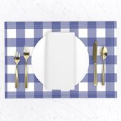 Soft Prussian Blue + White Gingham by Su_G