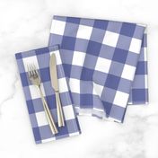 Soft Prussian Blue + White Gingham by Su_G