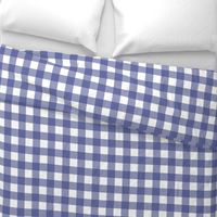 Soft Prussian Blue + White Gingham by Su_G