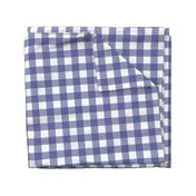 Soft Prussian Blue + White Gingham by Su_G