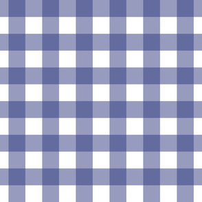 Soft Prussian Blue + White Gingham by Su_G