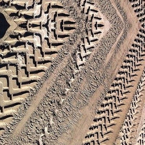 Tracks In The Sand