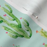 6" Watercolor Desert Cactus // Aqua