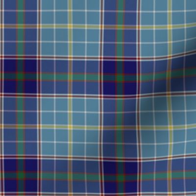 Texas bluebonnet tartan, 4" greyed