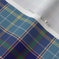 Texas bluebonnet tartan, 4" greyed