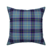 Texas bluebonnet tartan, 4" greyed