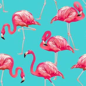 Flamingos on Teal Tropical Birds Tropical Plants