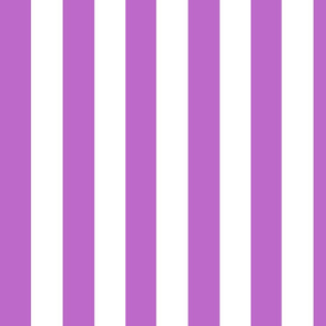 Easter Parade Purple Awning Stripe