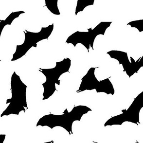 Bats in Flight // Large