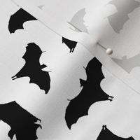 Bats in Flight // Small