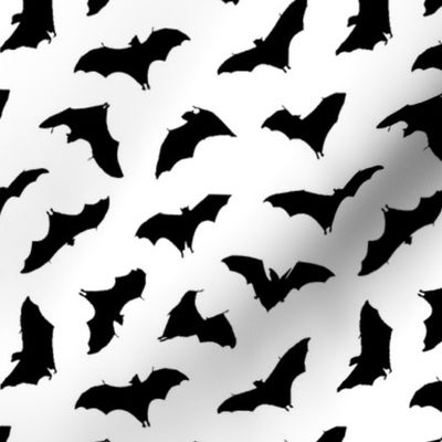 Bats in Flight // Small
