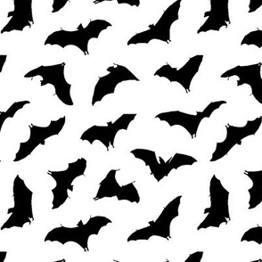 Bats in Flight // Small