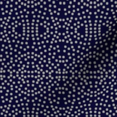 A Lacy Mesh of Twinkling Dots on Blackberry - Medium Scale