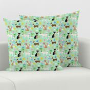 chihuahua summer beach dog breed fabric mint