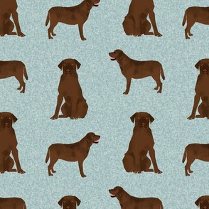 labrador retriever chocolate lab pet quilt b quilt coordinates dog fabric 