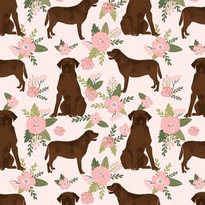 labrador retriever chocolate lab pet quilt d quilt floral coordinates dog fabric 
