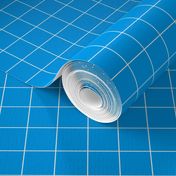 Sky blue plaid fabric pattern.