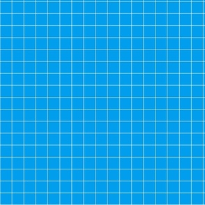 Sky blue plaid fabric pattern.