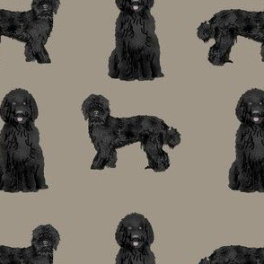 labradoodle dog fabric - black labradoodles design - brown