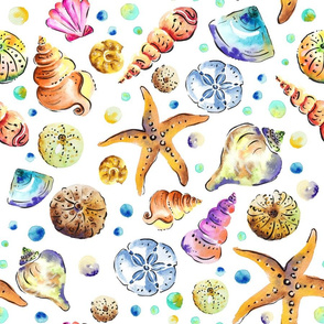 Starfish & shells watercolour