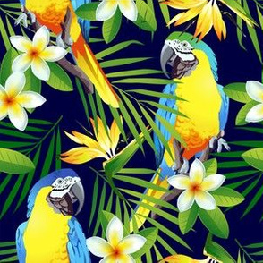 Parrot Plumeria  Tropical Birds Tropical Plants