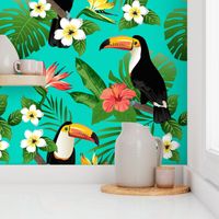 Tucan on Teal Tropical Birds Tropical Plants Hibiscus Bird of Paradise