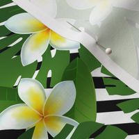 Topical Hawaii Plumeria Bird of Paradise Flowers Floral Black and White Stripes