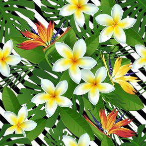 Topical Hawaii Plumeria Bird of Paradise Flowers Floral Black and White Stripes