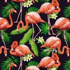 Flamingos on Black Tropical Birds Tropical Plants