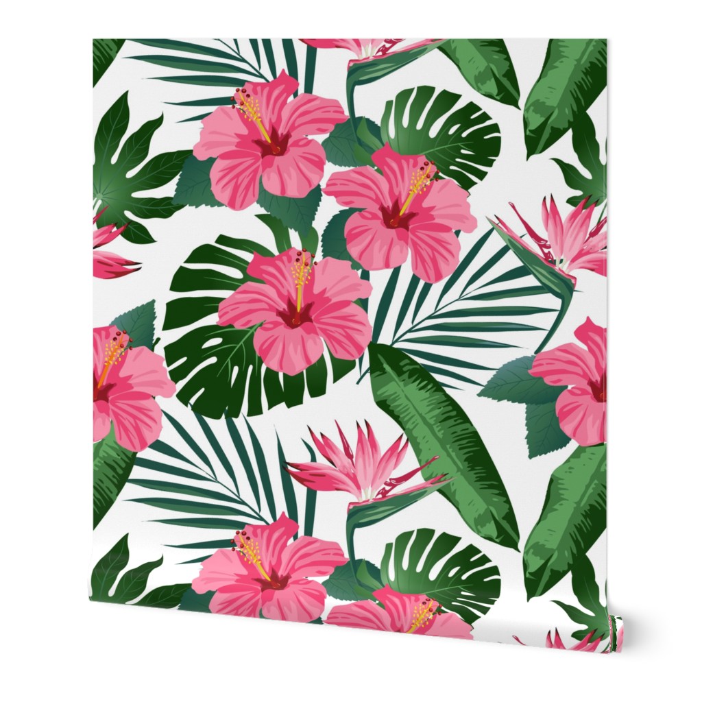 Hibiscus Tropical Flowers Floral on White
