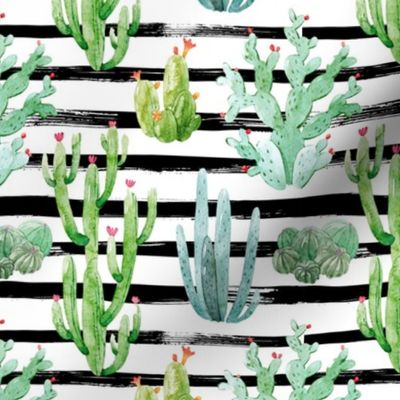 6" Watercolor Desert Cactus // Black Stripes