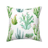 12" Watercolor Desert Cactus