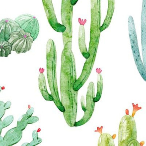 12" Watercolor Desert Cactus