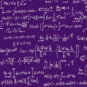 Math Notes on Purple // Large